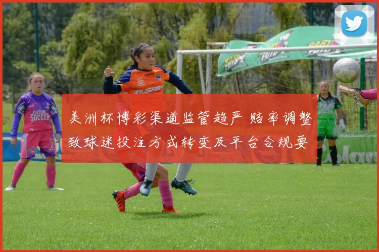 美洲杯博彩渠道监管趋严 赔率调整致球迷投注方式转变及平台合规要求变化