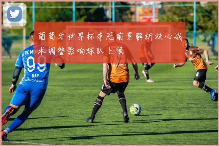 葡萄牙世界杯夺冠前景解析核心战术调整影响球队上限