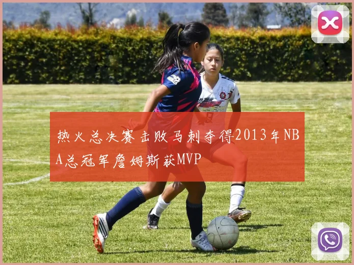 热火总决赛击败马刺夺得2013年NBA总冠军詹姆斯获MVP