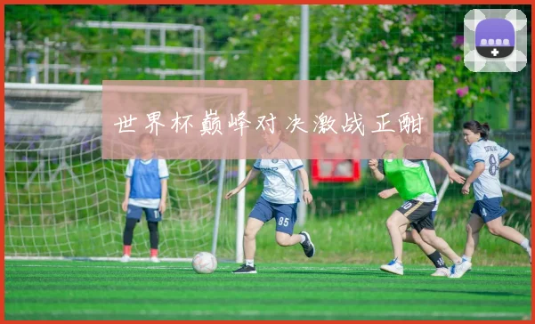 世界杯巅峰对决激战正酣