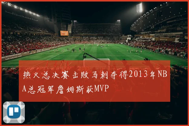 热火总决赛击败马刺夺得2013年NBA总冠军詹姆斯获MVP