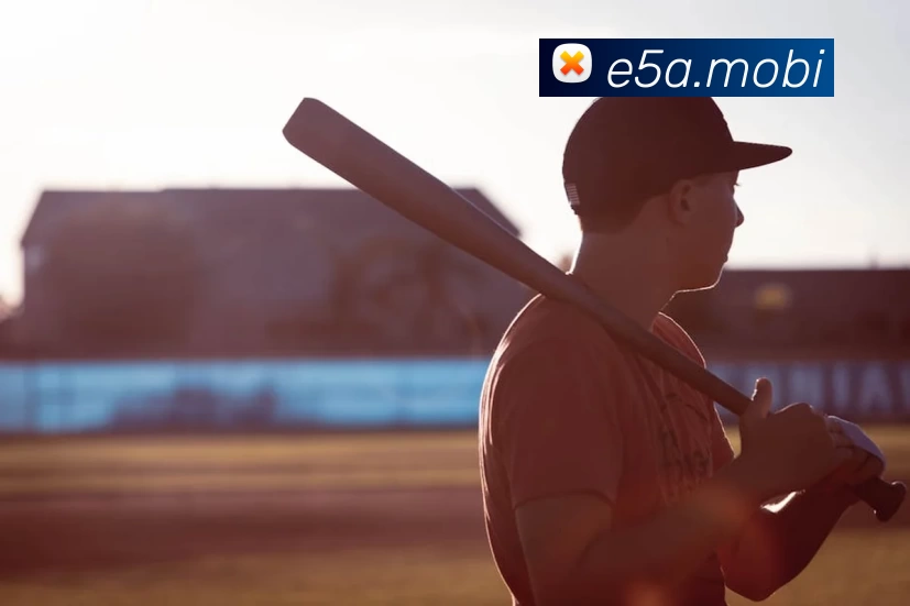 App Interface Preview